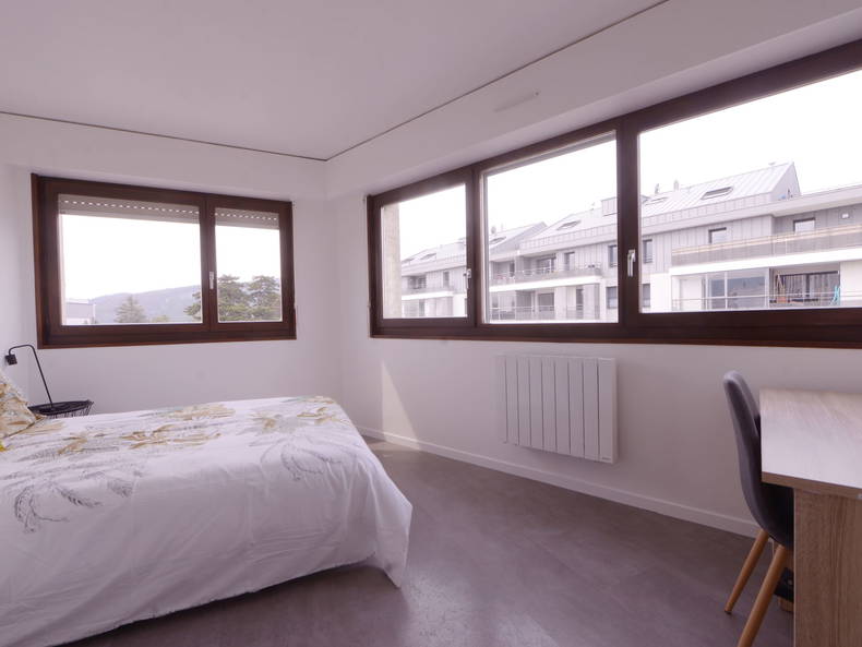 Colocation Annemasse 247837-5