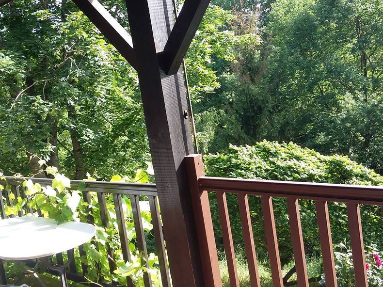 Colocation La Tour-de-Salvagny 138409-5