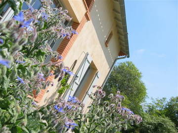 Room For Rent Villefranche De Lauragais 247