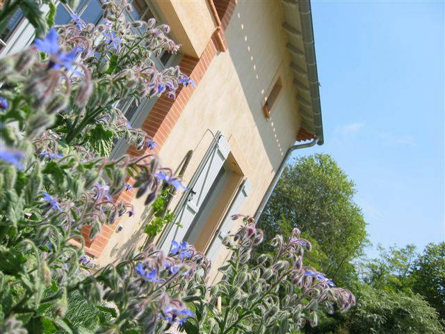 Homestay Villefranche de Lauragais 247