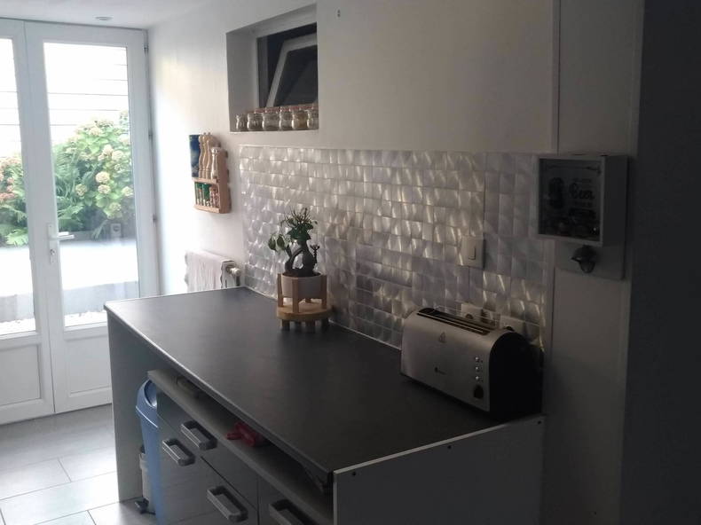 Colocation Roubaix 247184-2