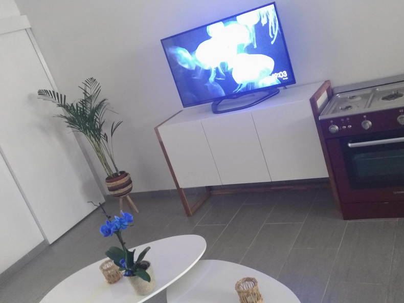 Colocation Roubaix 247184-4