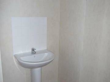 Kolokasie Mouroux 11658-3