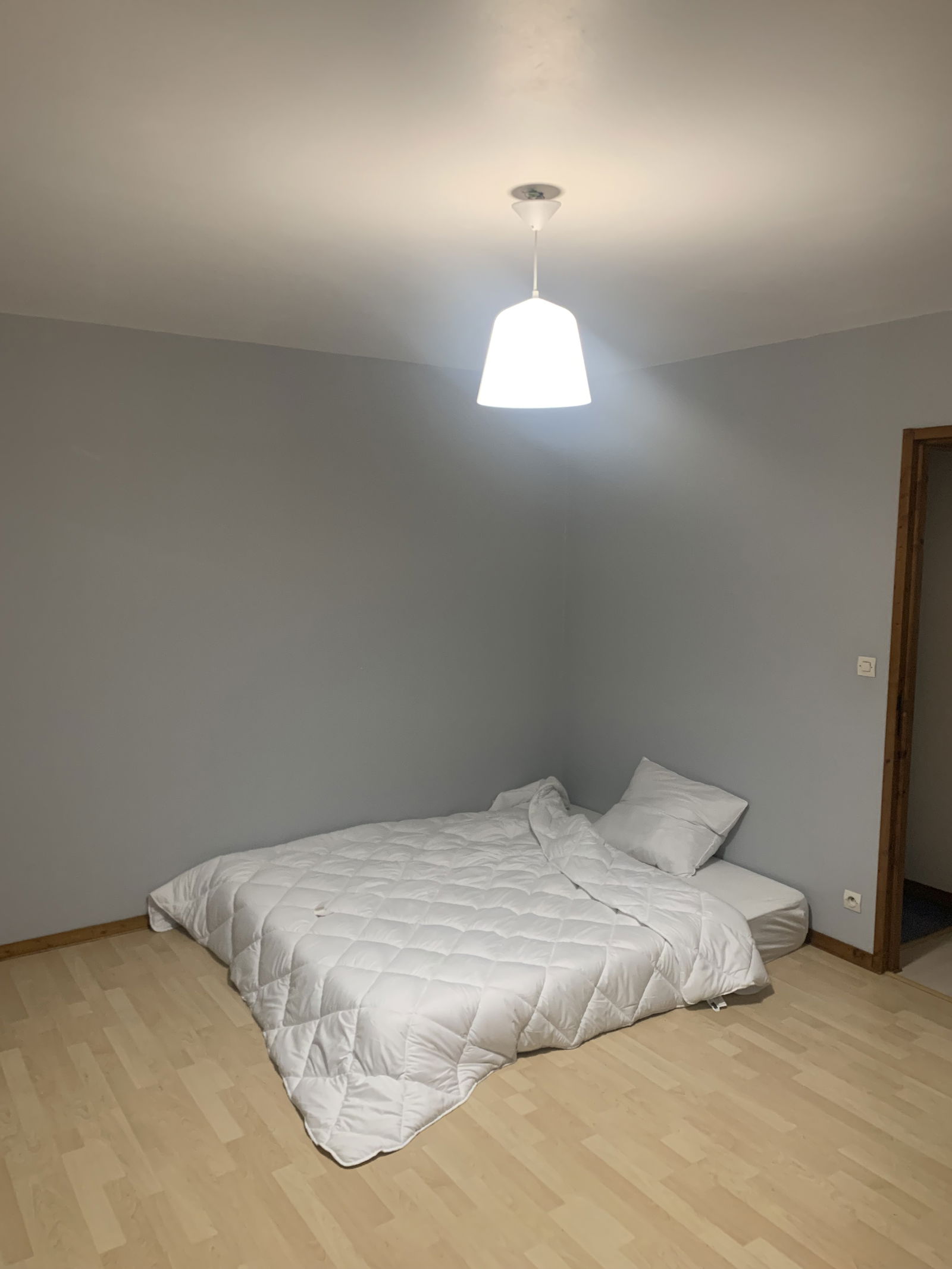 Colocation Saint-Benoît 313133