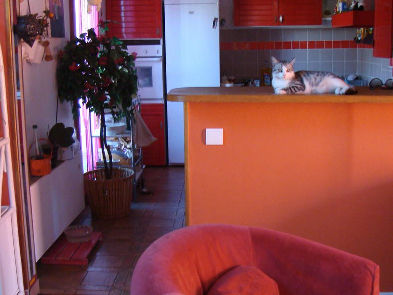 Colocación Émerainville 80886-1