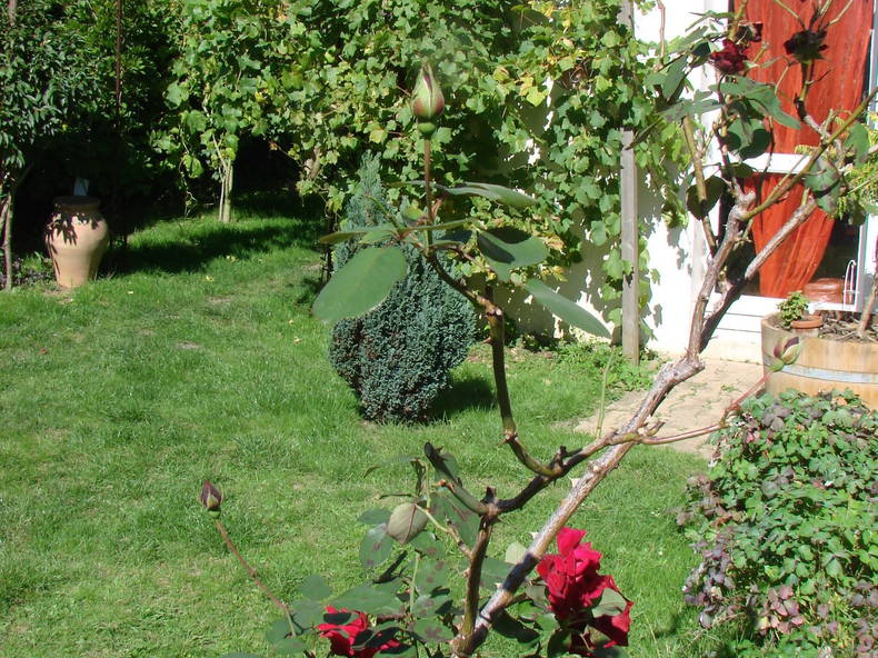 Colocación Émerainville 80886-2