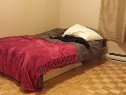 Kolokasie Montréal 93731-2