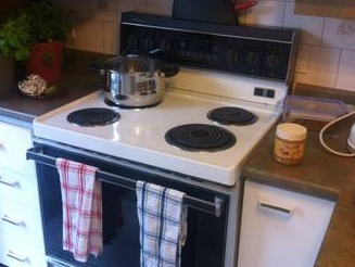 Kolokasie Montréal 93731-3