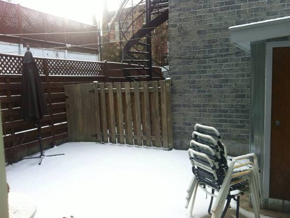 Kolokasie Montréal 93731-4