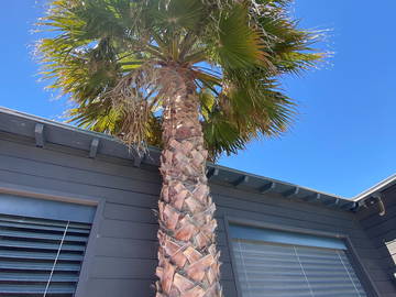 Entire home for rent in Angoulins - photo 16 : Other room-16