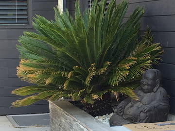 Entire home for rent in Angoulins - photo 13 : Garden-13