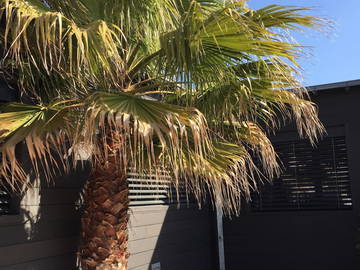 Entire home for rent in Angoulins - photo 18 : Garden-18
