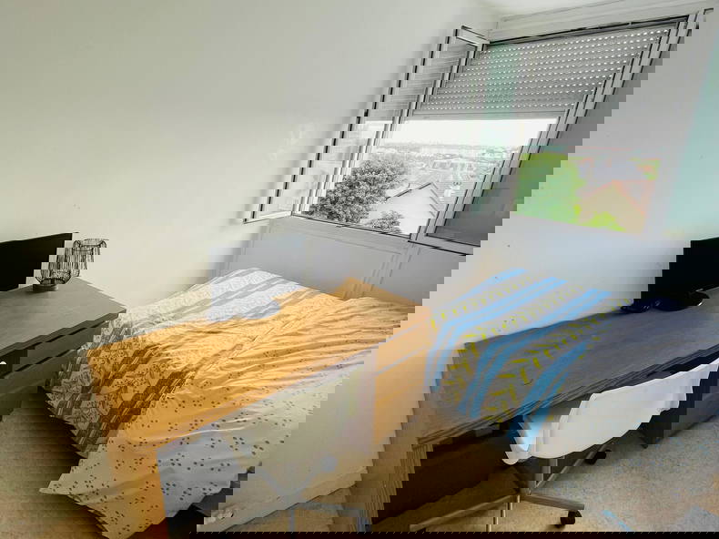 Colocation Champigny-sur-Marne 545211-2