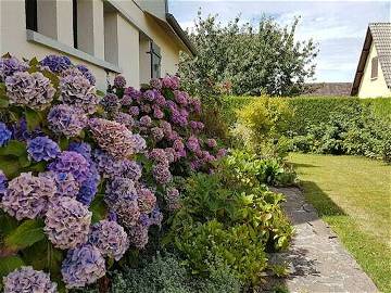 Shared Accommodation Saint-Pierre-De-Varengeville 253121-8