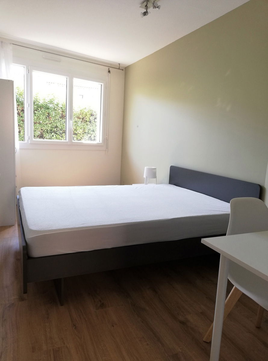Colocation Toulouse 239557