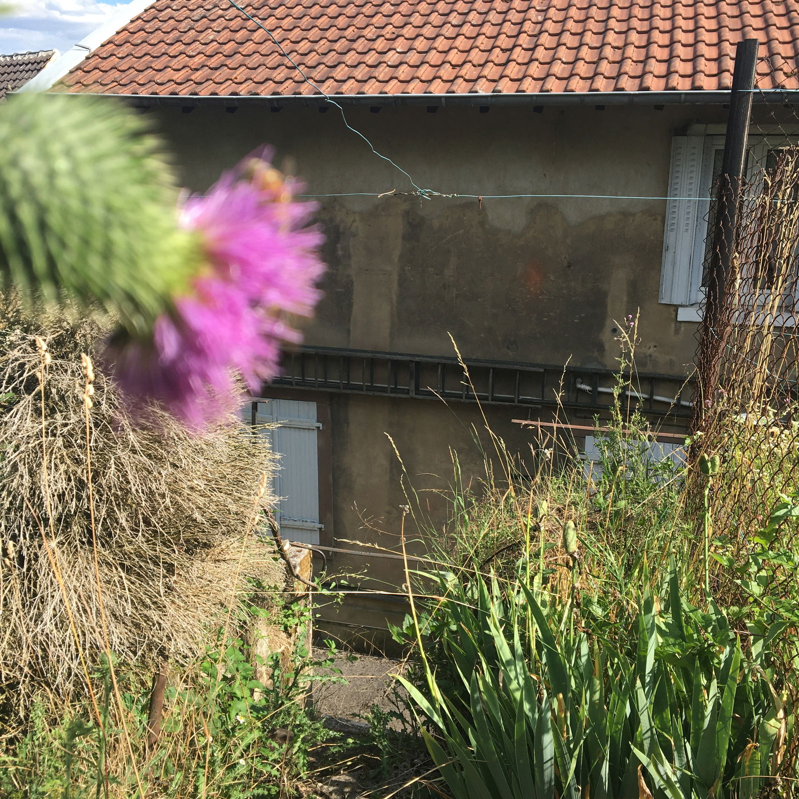 Colocation Forbach 240333