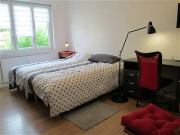 Chambre À Louer Mulhouse 237745