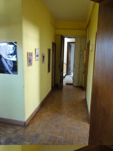 Colocation Montpellier 137250