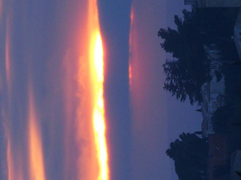 Colocación Montpellier 123392-4