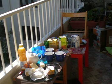 Kolokasie Montpellier 20491-2