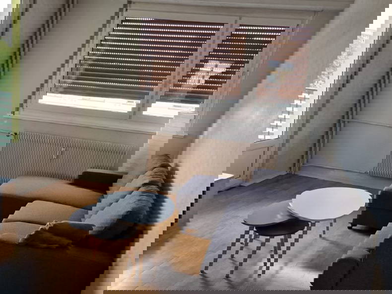 Colocation Strasbourg 337568-2