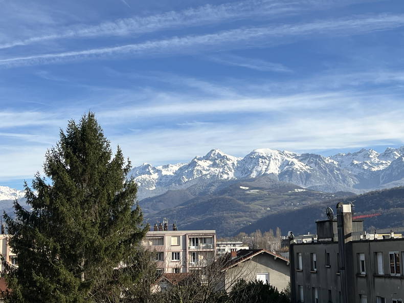 Kolokasie Grenoble 650207-1