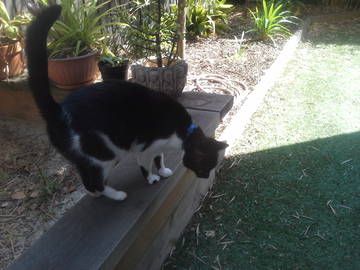 Colocation Ormond 116776-8