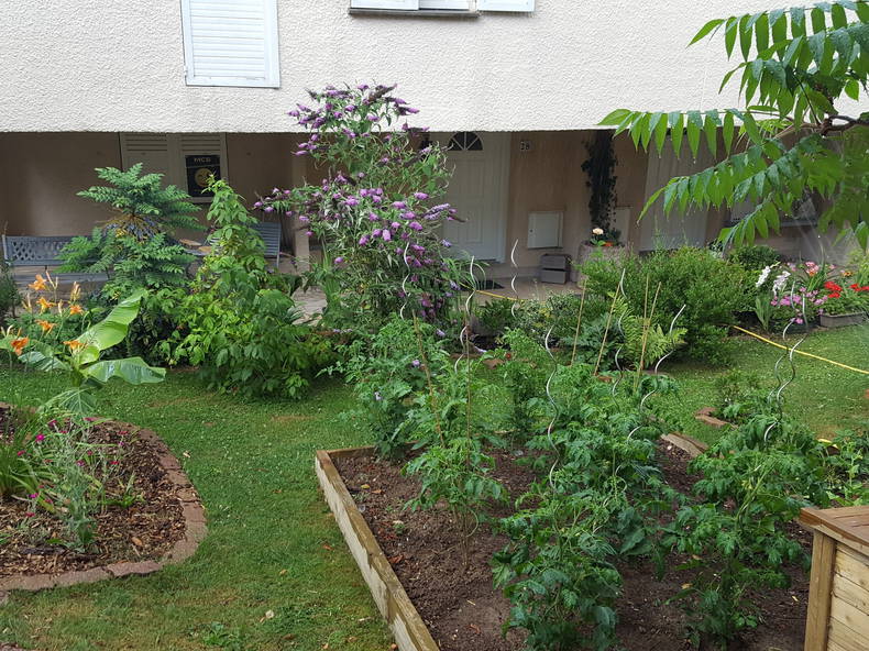 Colocation Jouy-le-Moutier 168828-5