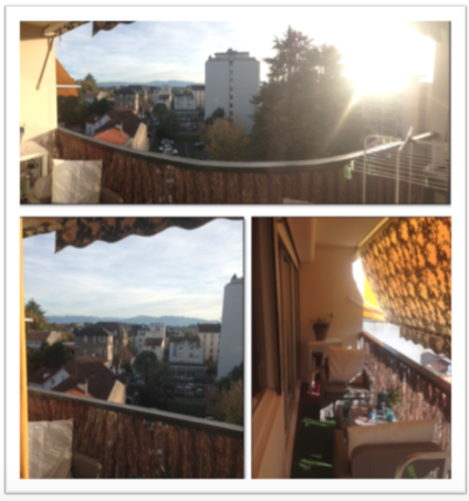 Colocation Pau 188498