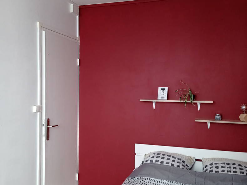 Colocation Poitiers 255956-4