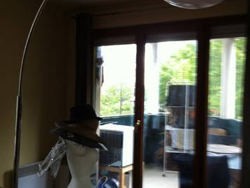 Kolokasie Paris 23026-1