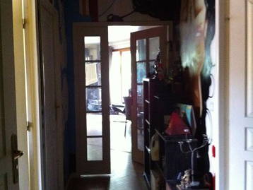 Kolokasie Paris 23026-3