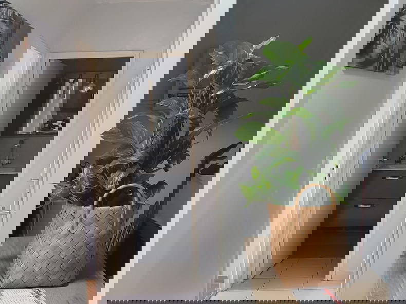 Colocación Villetaneuse 292321-2