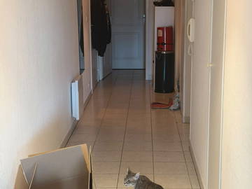 Colocation à louer à Toulouse - photo 7 : autre pièce-7