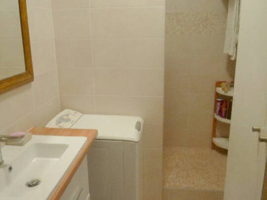 Kolokasie Paris 123235-2