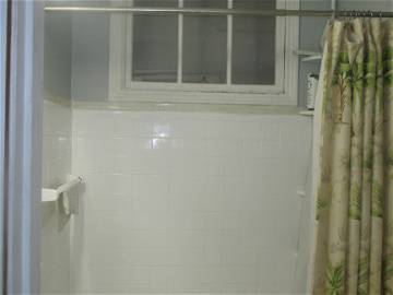 Colocation Montréal 267621-5