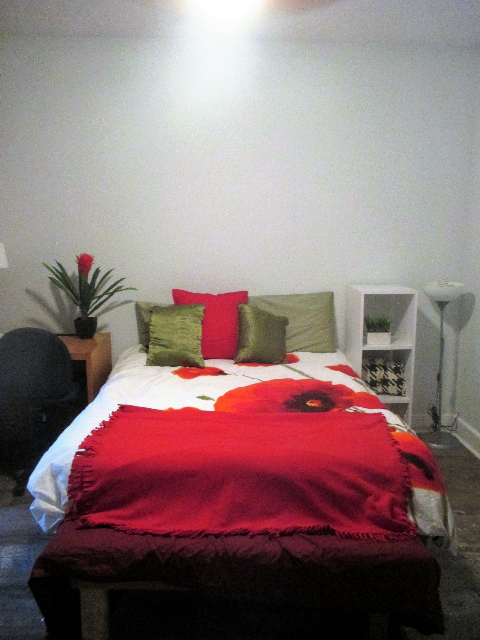 Colocation Montréal 247114