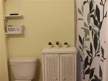 Colocation Montréal 247114-4