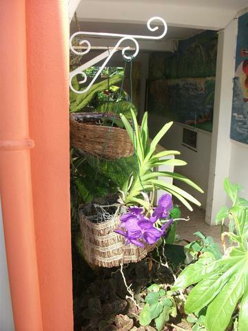 Colocatie Port-Louis 24914