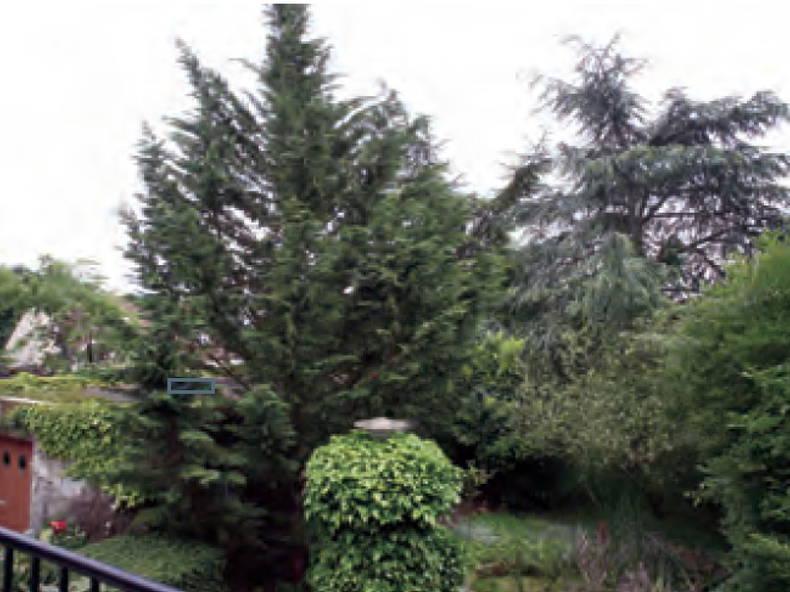 Kolokation Le Perray-en-Yvelines 131385-3