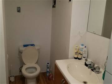 Colocation Montréal 259609-8