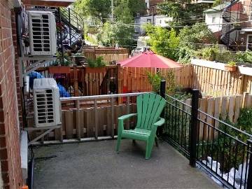 Colocation Montréal 259609-13