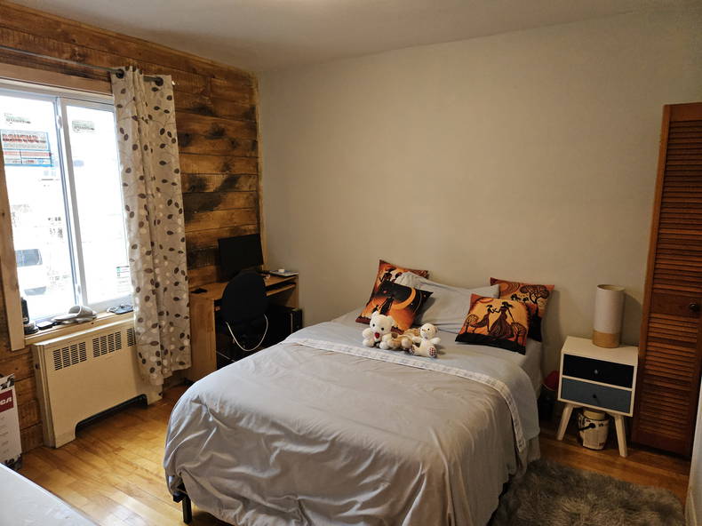 Kolokasie Montréal 258292-1