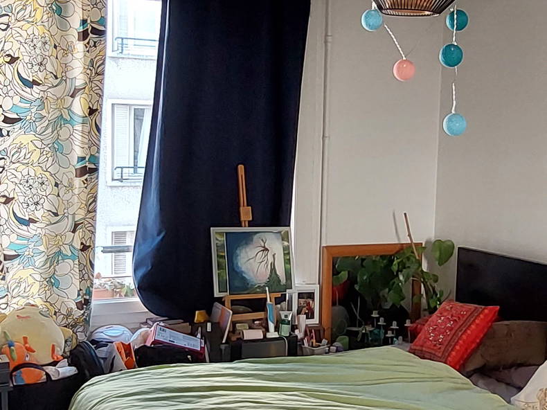 Colocation Rueil-Malmaison 469854-3