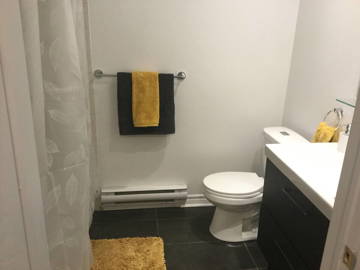 Colocation Longueuil 412345-10