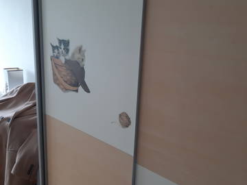 Logement entier à louer à Lancy - photo 3 : autre pièce-3