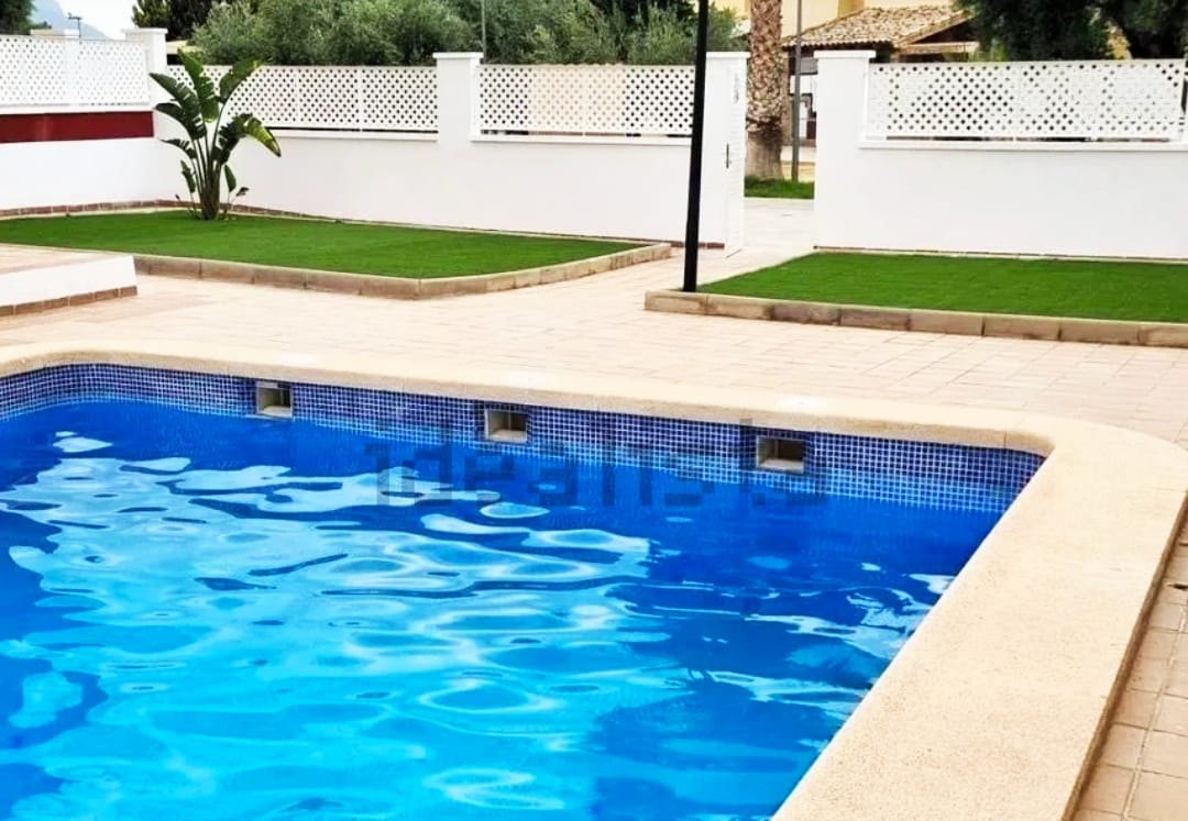 Colocation Orihuela 317466