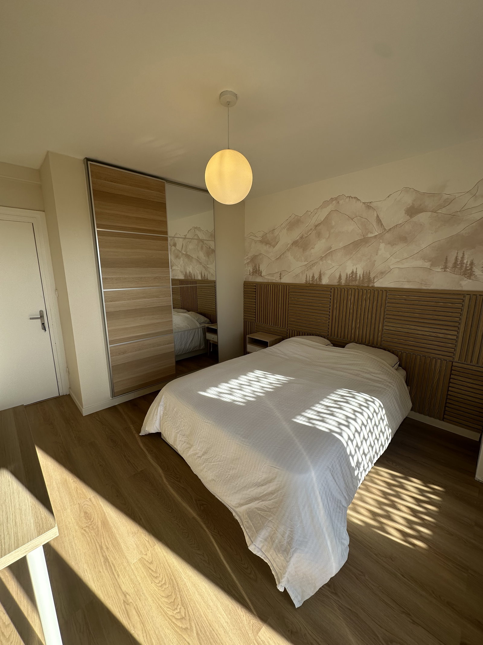 Colocation Annemasse 664316