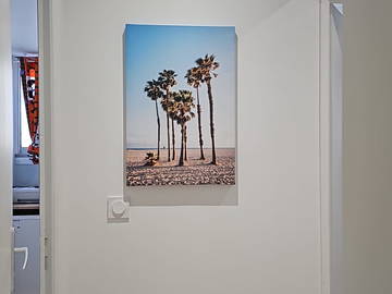Wohngemeinschaft zur Miete in Toulouse - Foto 11 : Sonstiger Raum-11