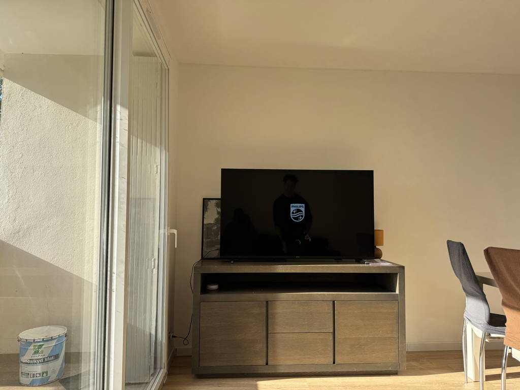 Kolokasie Talence 659770-1